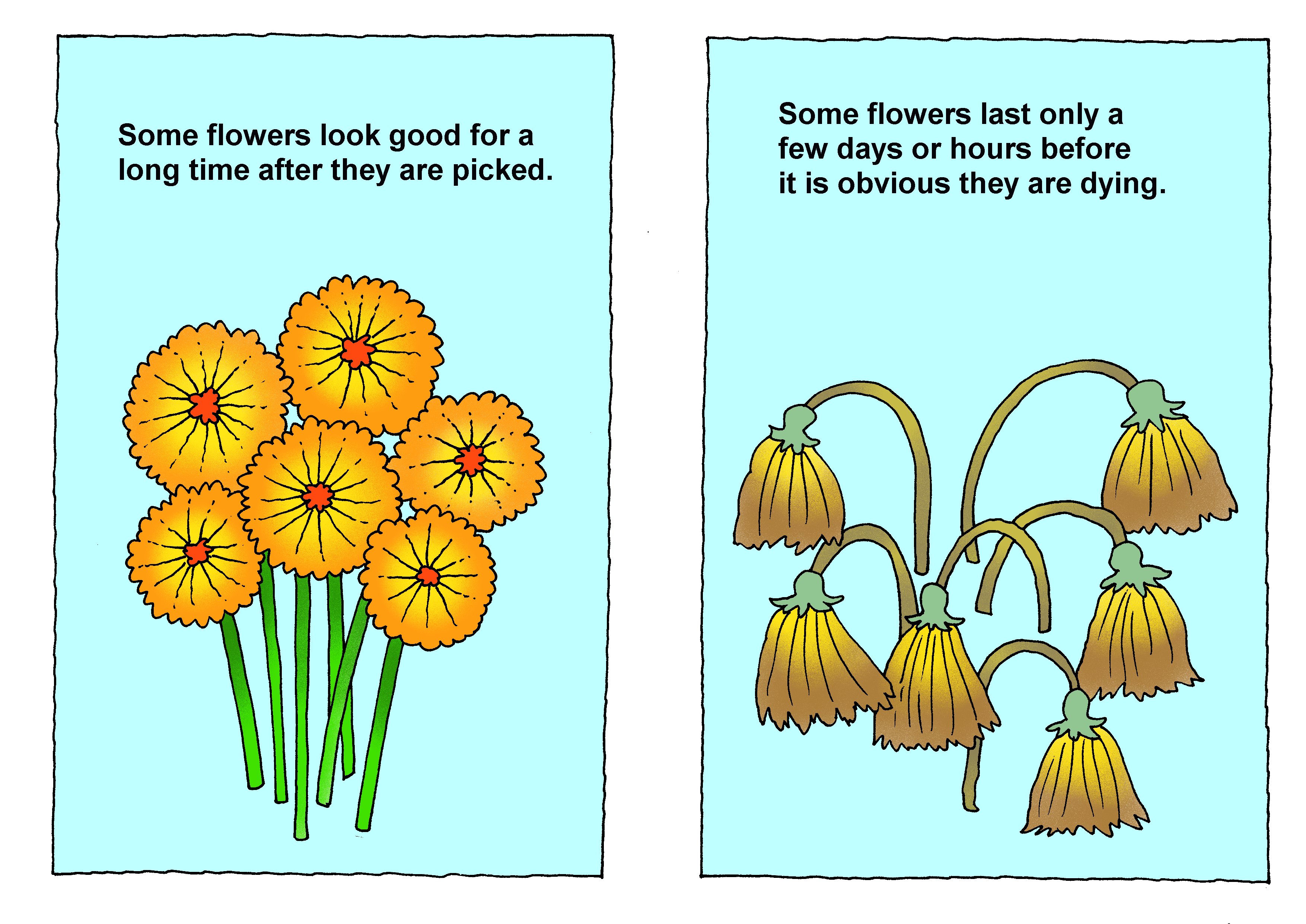 Bible/Bible story booklets/Picked Flowers Richard Gunther free